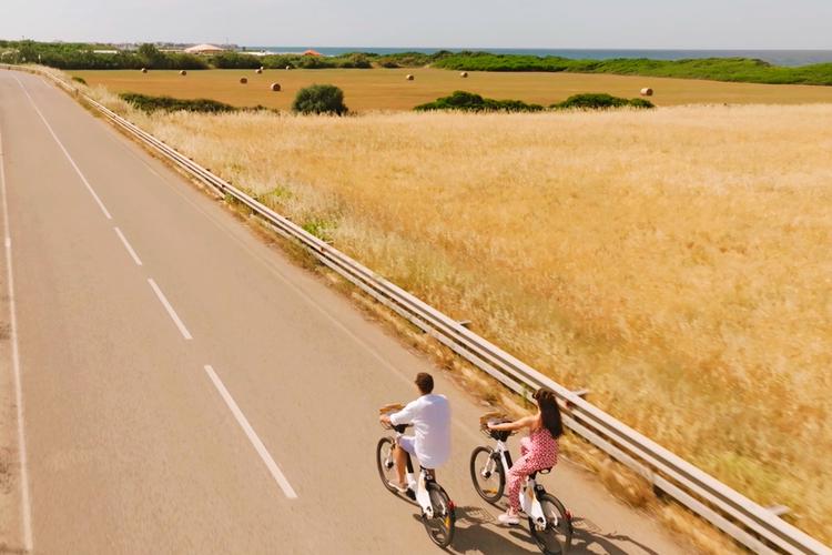 Bike tour tra gli ulivi secolari