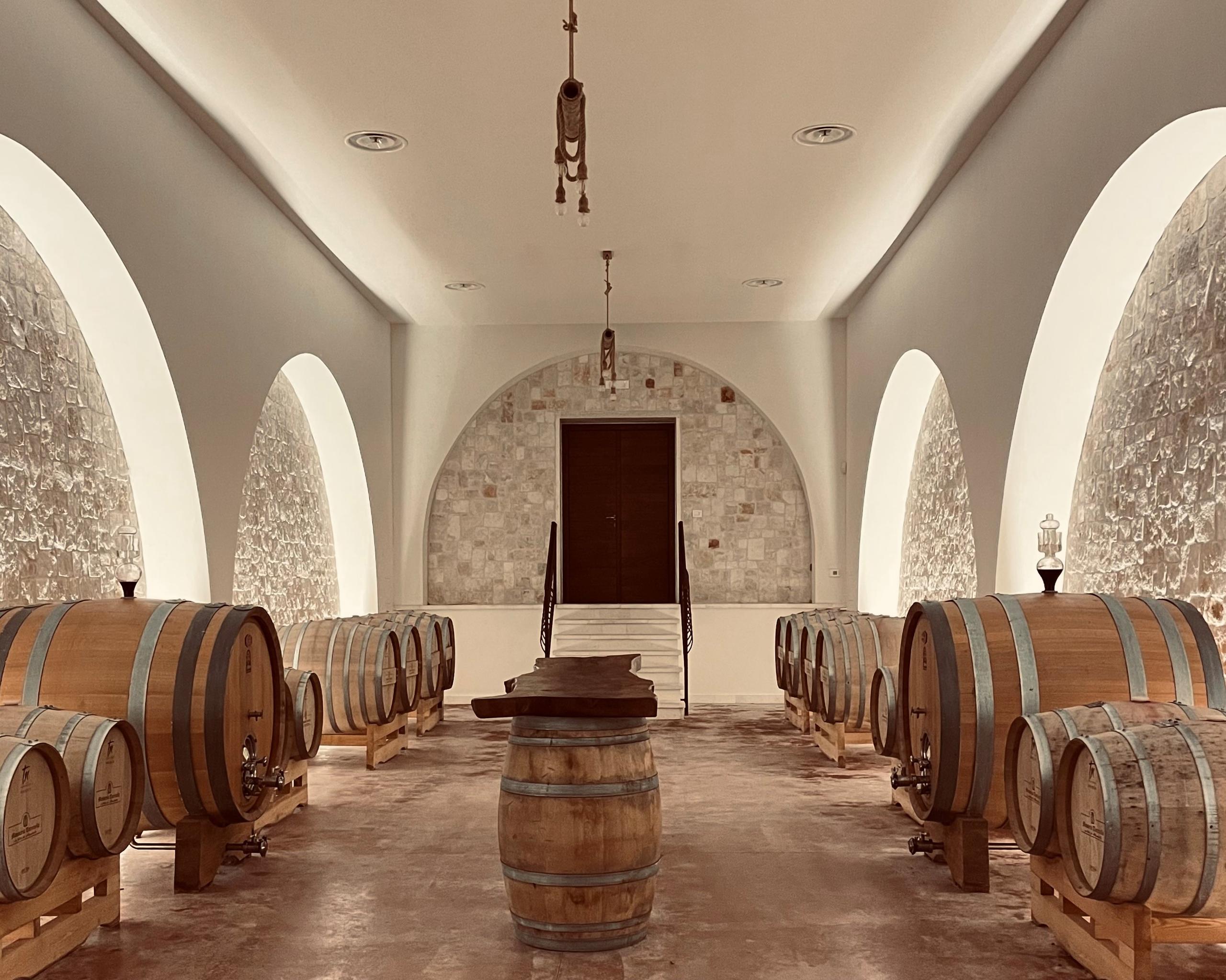 Wine Experience in Cantina