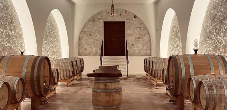 Wine Experience in Cantina