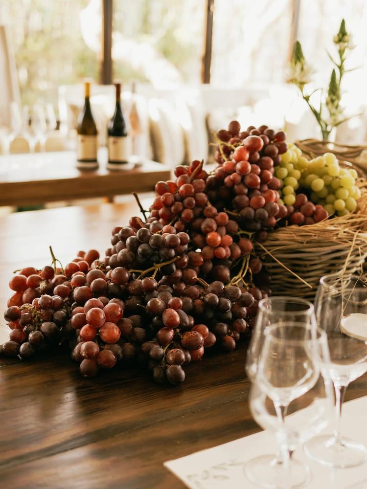 Degustazione di Vini